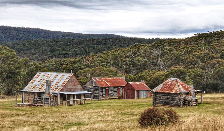 View of Coolamine Homestead buildings in the High Plains area of Kosciuszko National Park. Photo: Jennene Cathcart/DPIE