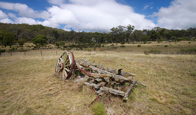 Remnants of farming equipment at Coolamine Homestead, Kosciuszko National Park. Photo: Elinor Sheargold/DPIE