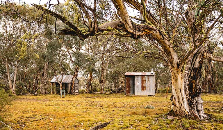 Tin sheds among snow gum woodland, Coolamine Homestead, Kosciuszko National Park. Photo: Robert Mulally/DPIE