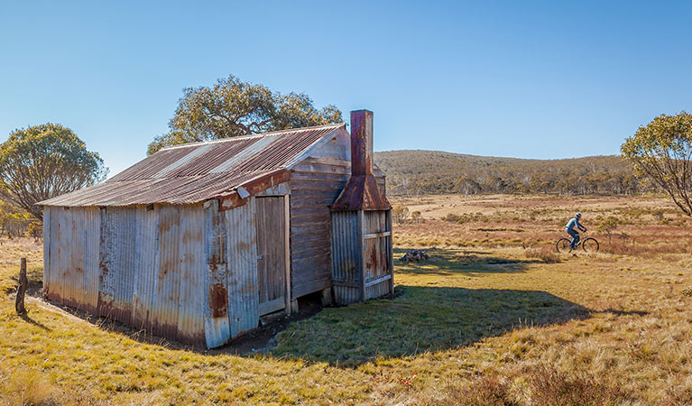 A cyclist at Gavels Hut, Kosciuszko National Park. Photo: Copyright Murray Vanderveer/DPIE