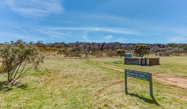 Ghost Gully campground, Kosciuszko National Park. Photo: Murray Vanderveer/DPIE