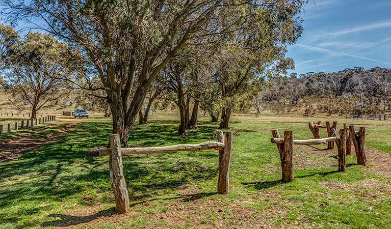 Ghost Gully campground, Kosciuszko National Park. Photo: Murray Vanderveer/DPIE