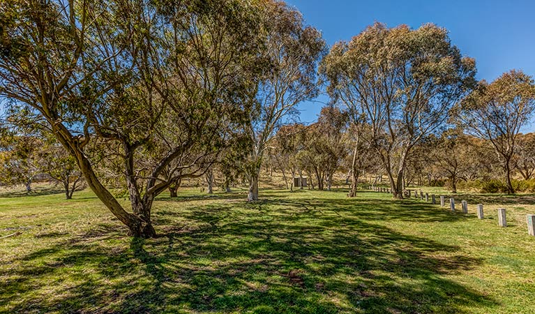 Ghost Gully campground, Kosciuszko National Park. Photo: Murray Vanderveer/DPIE