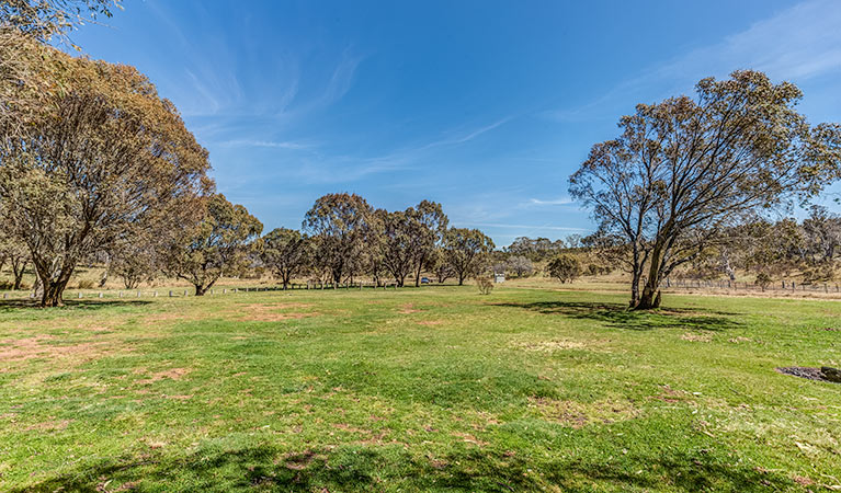 Ghost Gully campground, Kosciuszko National Park. Photo: Murray Vanderveer/DPIE