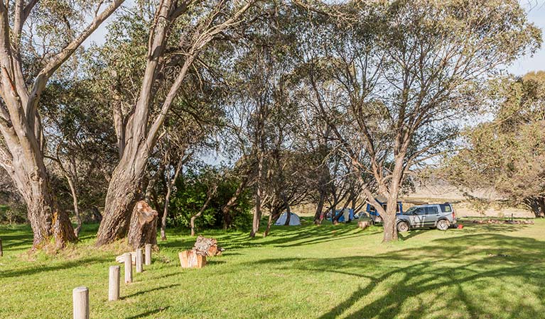 Tents near a car at Long Plain Hut campground, High Plains area, Kosciuszko National Park. Photo: Murray Vanderveer