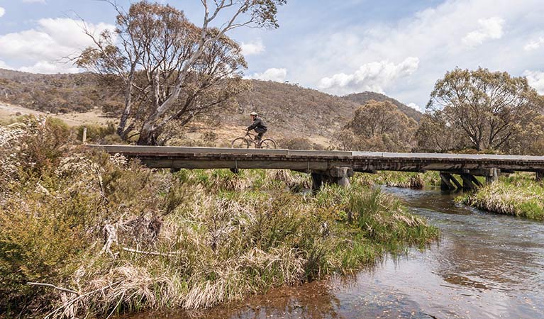 Murrumbidgee mountain bike ride in northern Kosciuszko National Park. Photo: Murray Vanderveer/DPIE