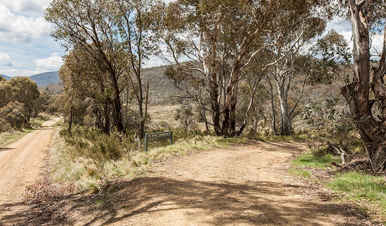 Old Snowy campground, Kosciuszko National Park. Photo: Murray Vanderveer/NSW Government