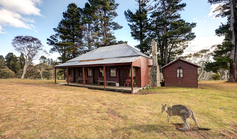 The Pines Cottage outdoors, Kosciuszko National Park. Photo: Murray van der Veer