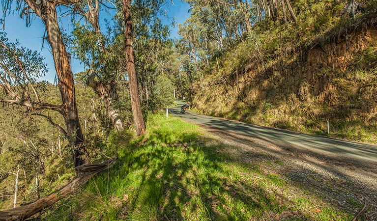 Kosciuszko - Alpine Way Drive, Kosciuszko National Park. Photo: Murray Vanderveer