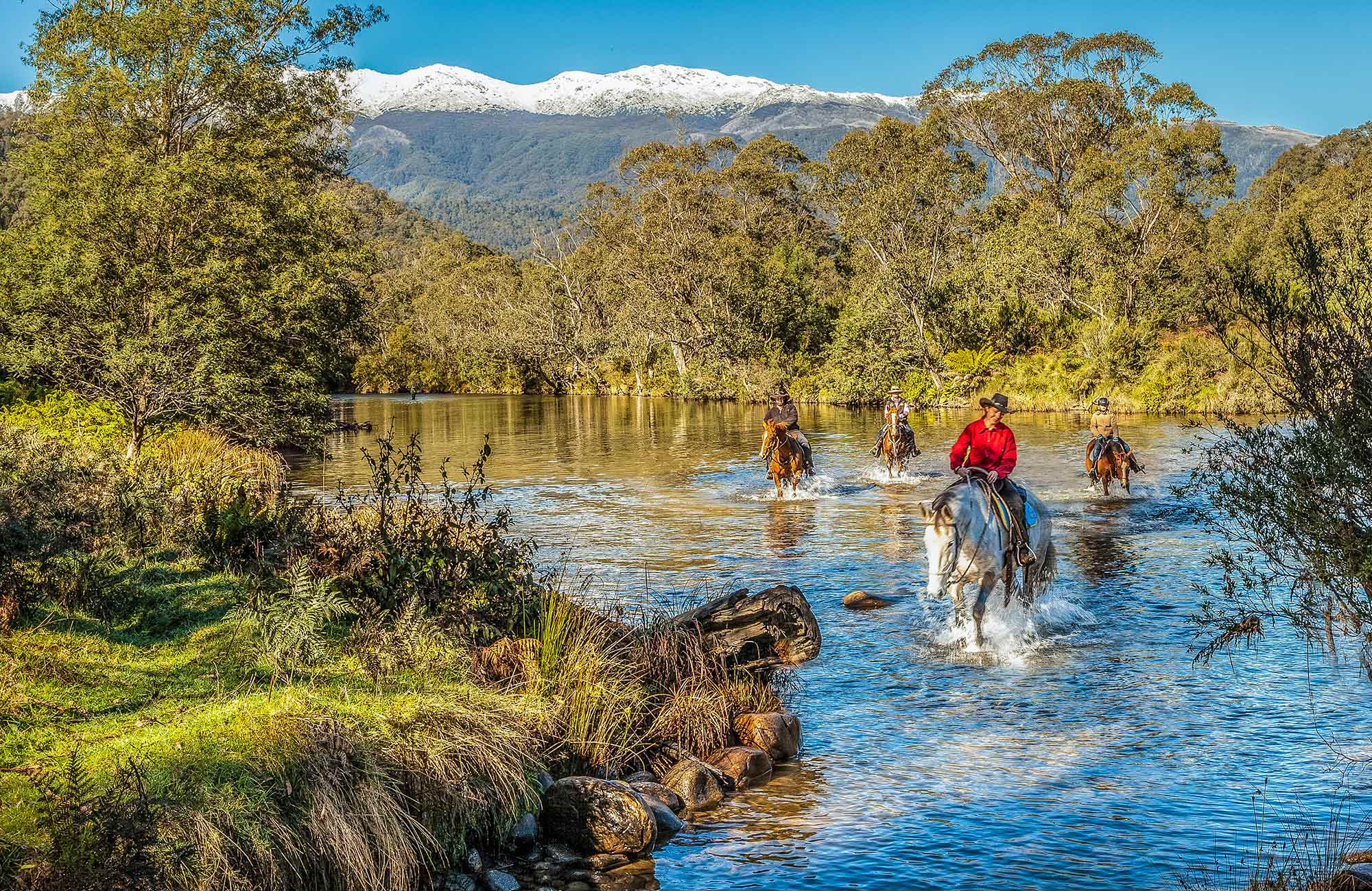 Camping with horses in NSW national parks NSW National Parks