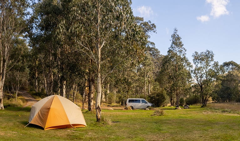 Tent nestled amongst the native gum trees at Clover Flat campground. Photo: Murray Vanderveer © DPE