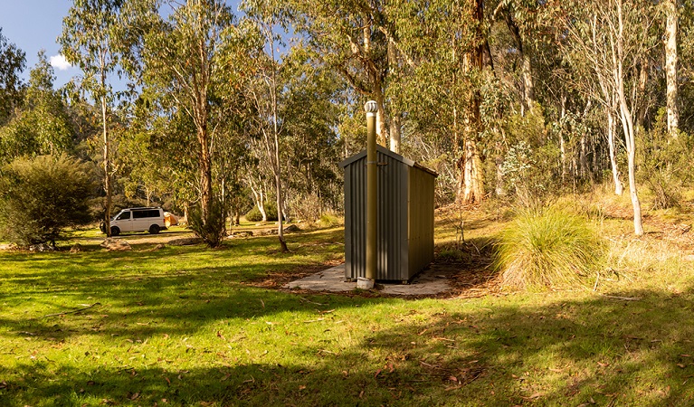 Towering native gums at Clover Flat campground. Photo: Murray Vanderveer © DPE