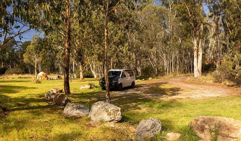 Visitors set up camp amongst the towering native gums at Clover Flat campground. Photo: Murray Vanderveer © DPE