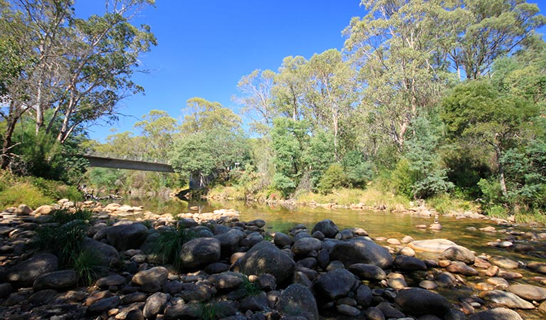 A bridge crosses the Swampy Plain River, Kosciuszko National Park. Photo: Elinor Sheargold/OEH