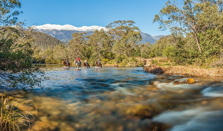 4 horse riders cross the Swampy Plain River, near Behrs Flat in Geehi Valley, Kosciuszko National Park.  Photo: Murray Vanderveer &copy; OEH