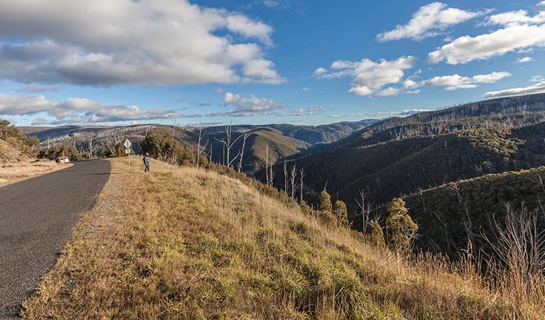 Alpine high country near Cabramurra, Kosciuszko National Park Photo: Murray Vanderveer