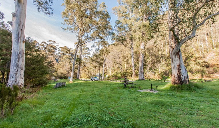 Grassy flat space at Leatherbarrel Creek campground and picnic area, Kosciuszko National Park. Photo: Murray Vanderveer &copy; DPIE
