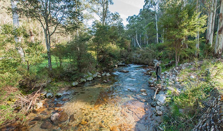 Leatherbarrel Creek picnic area, Kosciuszko National Park. Photo: Murray Vanderveer &copy; DPIE