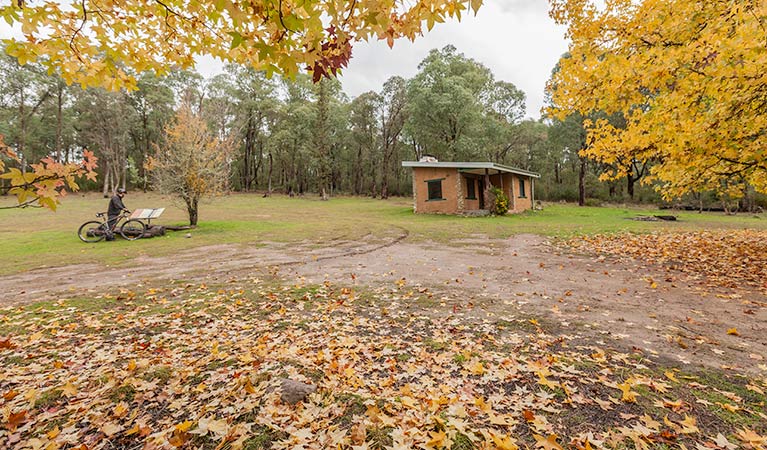 Major Clews Hut trail, Kosciuszko National Park. Photo: Murray Vanderveer