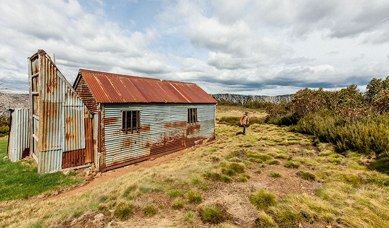 Round Mountain Hut walking track, Kosciuszko National Park. Photo: Murray Vanderveer