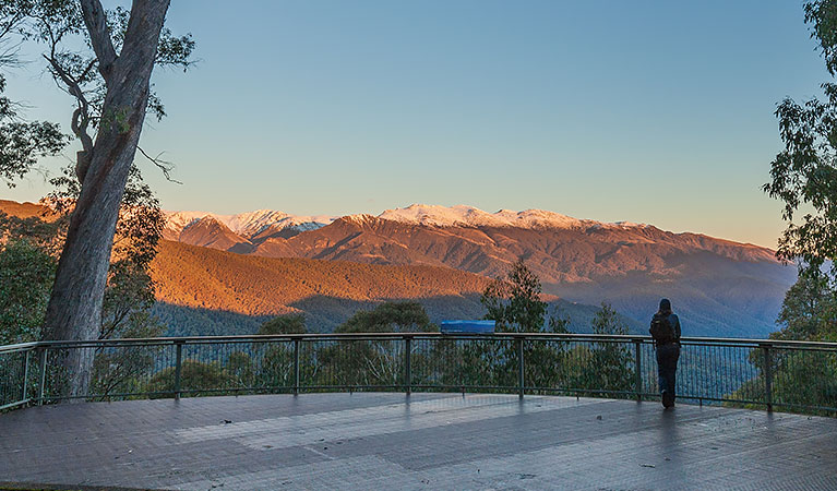 Scammells lookout, off Alpine Way, Kosciuszko National Park. Photo: Murray Vanderveer.