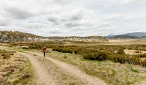 Patons Hut walking track, Kosciuszko National Park. Photo: Murray Vanderveer