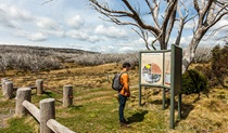 Round Mountain Hut walking track, Kosciuszko National Park. Photo: Murray Vanderveer &copy; OEH