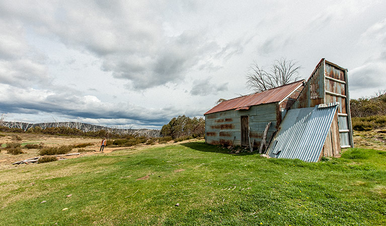 Round Mountain Hut walking track, Kosciuszko National Park. Photo: Murray Vanderveer &copy; OEH