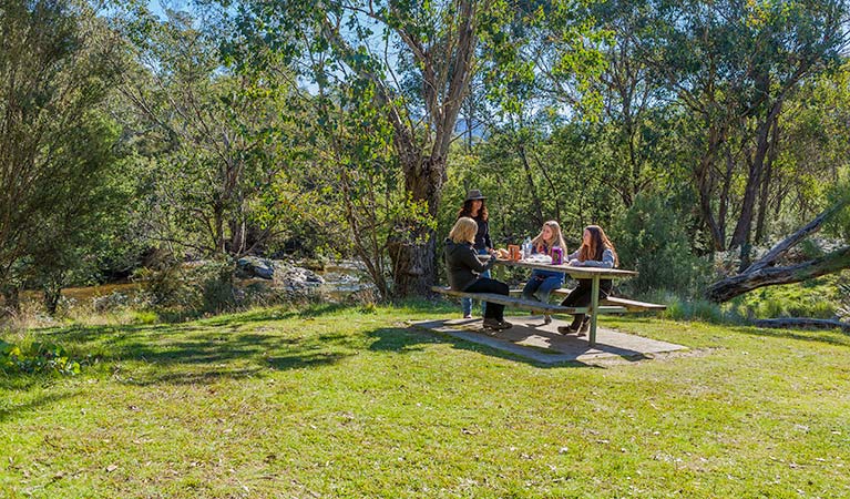 Four campers enjoy a picnic at Tom Groggin campground, Koscisuzko National Park. Photo: Murray Vanderveer/NSW Government