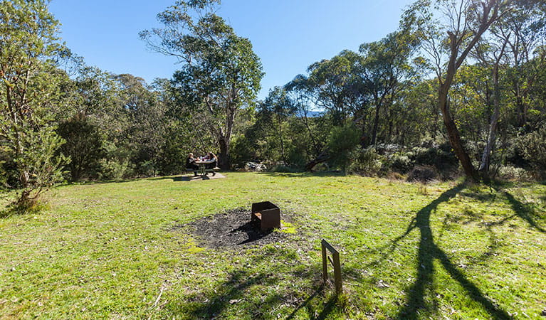 Grassy clearing with people seated at a picnic table, with a wood-fired barbecue in the foreground, in Kosciuszko National Park. Photo: Murray Vanderveer &copy; DPIE