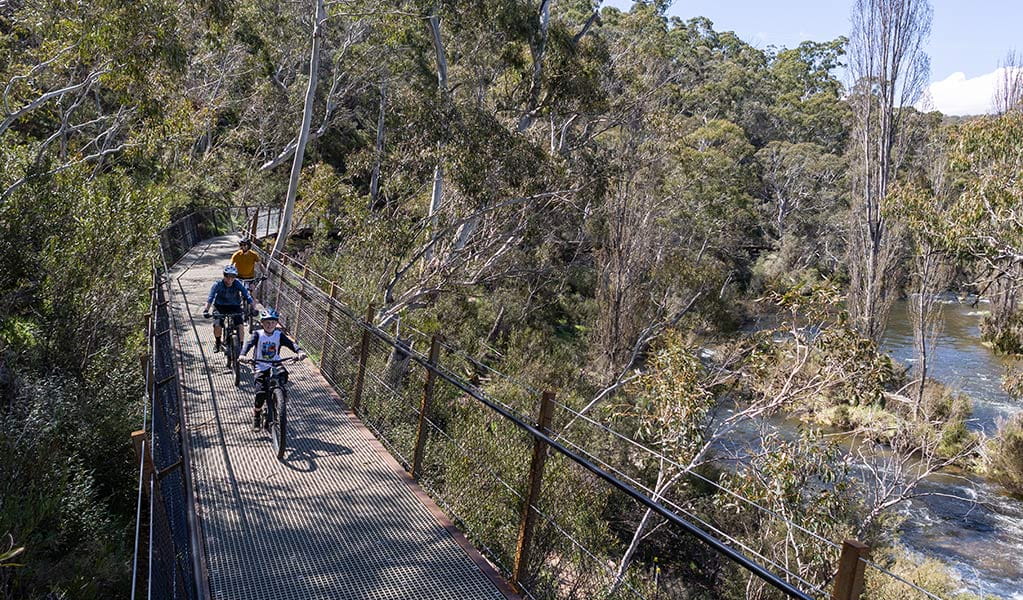 A group of cyclists crossing the Gaden Bridge to Thredbo with trees and a creek in the background. Credit:  Boen Ferguson &copy; DCCEEW