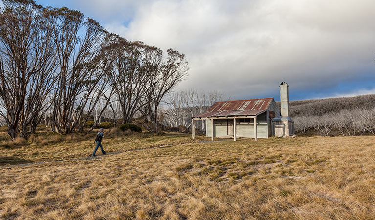 A man walks towards Bradleys and O'Briens Hut, Kosciuszko National Park. Photo: Murray Vanderveer/OEH