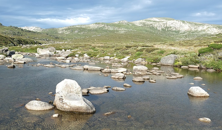 Snowy River crossing at Charlotte Pass on Main Range walk, Kosciuszko National Park. Photo: Elinor Sheargold/DPIE