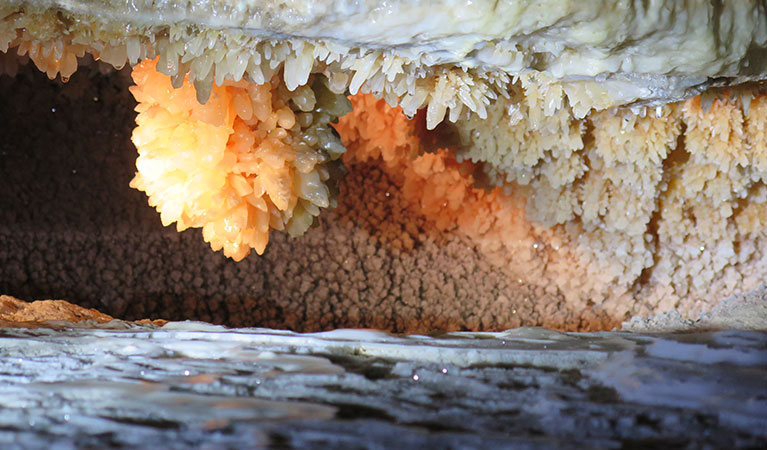 Jersey Cave decorations, at Yarrangobilly Caves in Kosciuszko National Park. Photo: E Sheargold/OEH