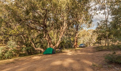 Jacobs River – Tongaroo campground, Kosciuszko National Park. Photo credit: Murray Vanderveer &copy; DPIE