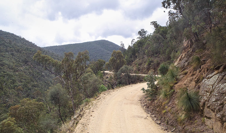 Lower Snowy drive, Kosciuszko National Park. Photo: Luke McLachlan/DPIE