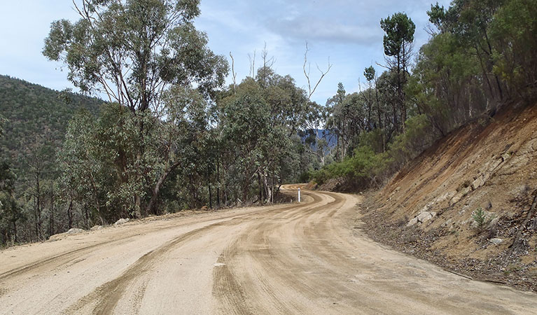 Lower Snowy drive, Kosciuszko National Park. Photo: Luke McLachlan/DPIE