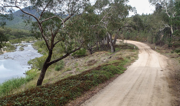 Lower Snowy drive, Kosciuszko National Park. Photo: Luke McLachlan/DPIE