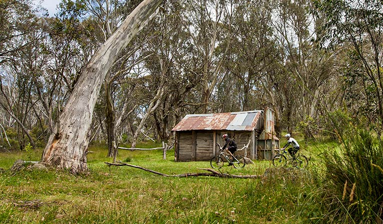 Pilot Wilderness mountain bike ride (Alpine Way to Barry Way), Kosciuszko National Park. Photo: Murray Vanderveer/DPIE