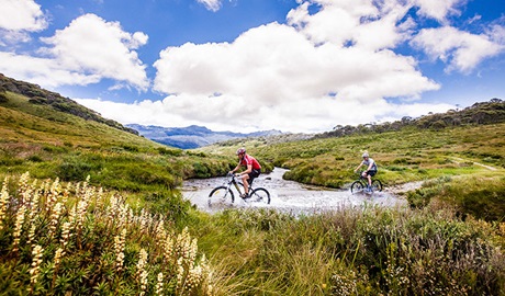 Pilot Wilderness mountain bike ride (Alpine Way to Barry Way), Kosciuszko National Park. Photo: Murray Vanderveer