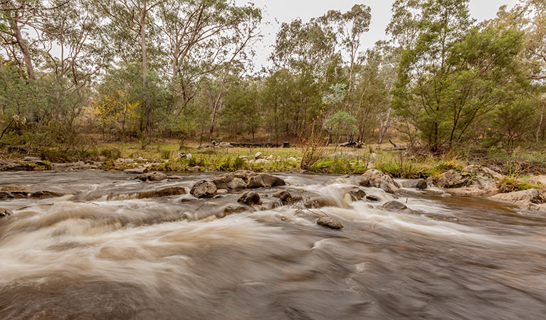 Pinch River – Moyangul campground, Kosciuszko National Park. Photo: Murray Vanderveer &copy; DPIE