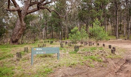 Willis picnic area, Kosciuszko National Park. Photo: Murray Vanderveer/DPIE