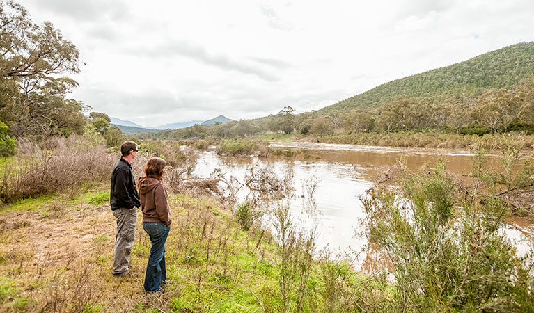 Willis picnic area, Kosciuszko National Park. Photo: Murray Vanderveer/DPIE