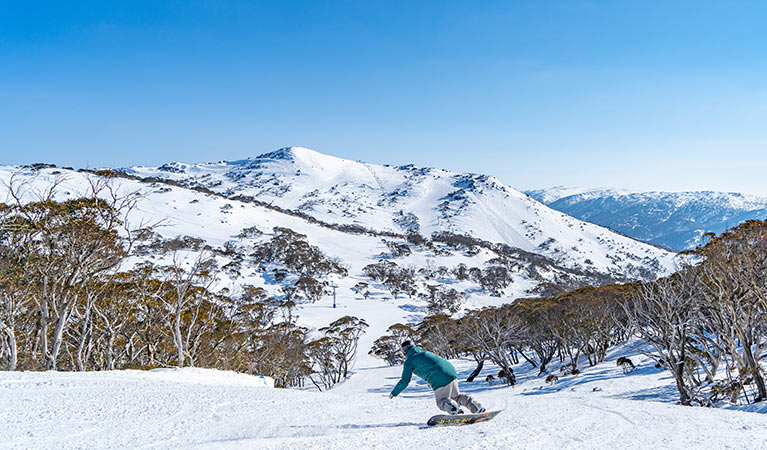 kosciuszko tourist park jindabyne nsw