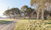 Gravel road and sign at Bullocks Hill campground, northern Kosciuszko National Park. Photo: Murray Vanderveer/OEH