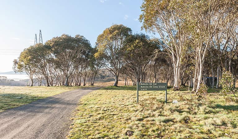 Gravel road and sign at Bullocks Hill campground, northern Kosciuszko National Park. Photo: Murray Vanderveer/OEH