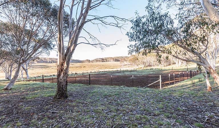 Fenced horse yard at Bullocks Hill campground, northern Kosciuszko National Park. Photo: Murray Vanderveer/OEH