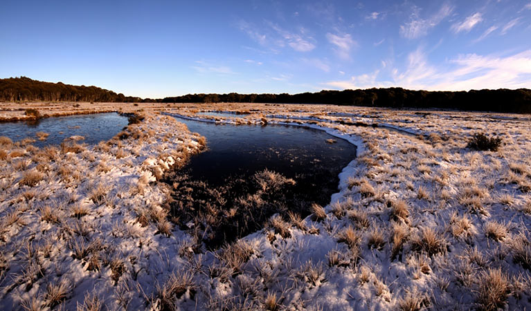 Early morning frost at Bullocks Hill bog and plain, northern Kosciuszko National Park. Photo: Jo Caldwell/OEH