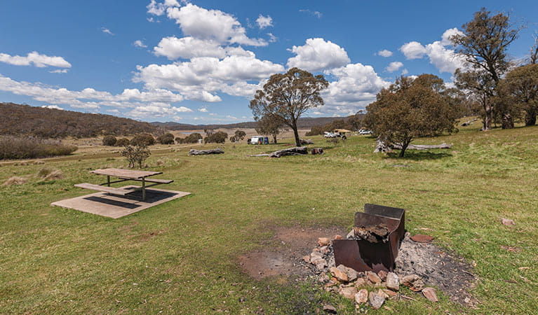 Fire ring and picnic table, Denison campground, Kosciuszko National Park. Photo: Murray Vanderveer &copy; DPIE