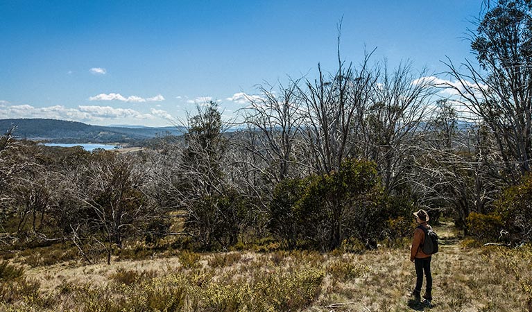 Goldseekers trail, Kosciuszko National Park. Photo: Murray van der Veer